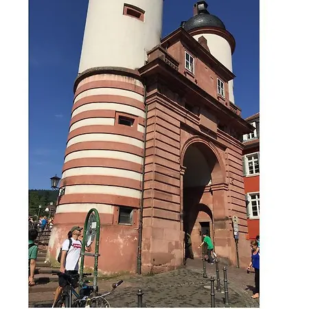 Im Herzen Der Altstadt דירה היידלברג