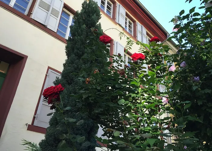 Апартаменты Im Herzen Der Altstadt